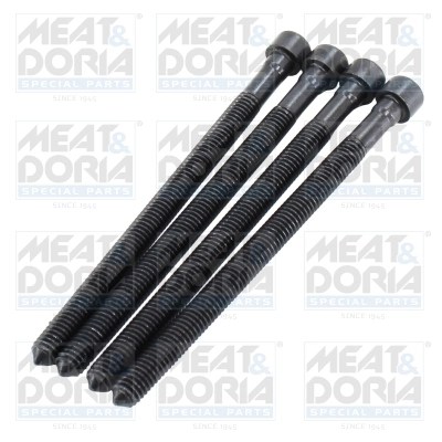 Screw, injection nozzle holder